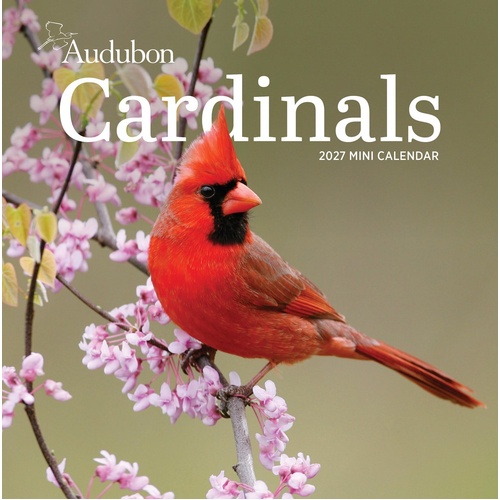 2027 Calendar Audubon Cardinals Mini Wall, Workman
