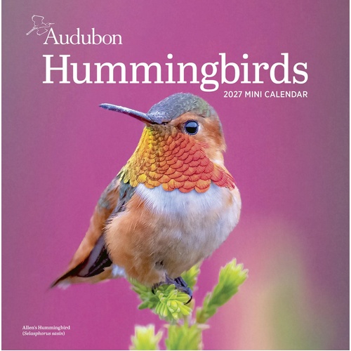 2027 Calendar Audubon Hummingbirds Mini Wall, Workman