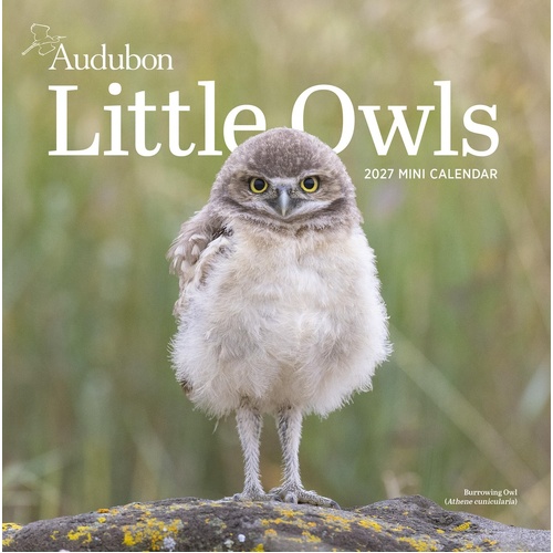 2027 Calendar Audubon Little Owls Mini Wall, Workman