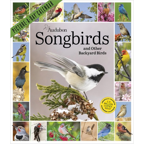 2027 Calendar Picture-A-Day Audubon Songbirds And Other Backyard Birds Vertical Wall, Workman