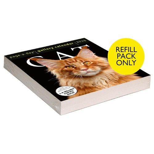2026 Refill Cat Page-A-Day Gallery Boxed, Workman