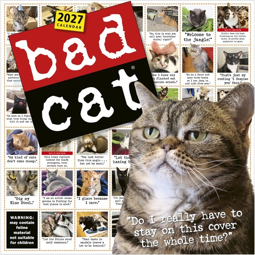 2027 Calendar Bad Cat Square Wall, Workman