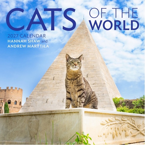2027 Calendar Cats of the World Square Wall, Workman
