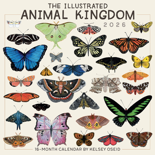 2026 Calendar The Illustrated Animal Kingdom 16-Month Square Wall, Sellers S43646