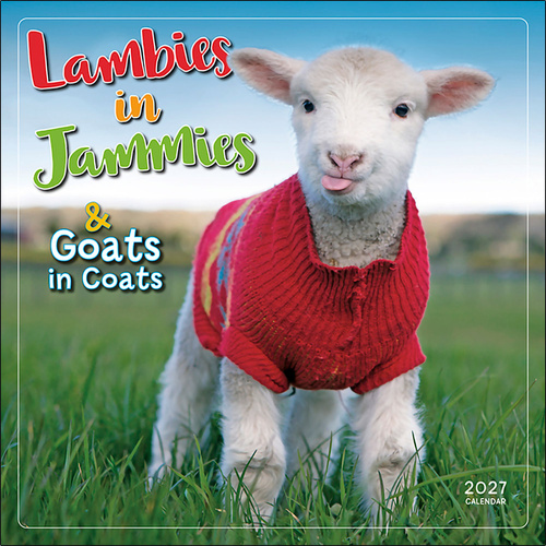 2027 16-Month Calendar Lambies in Jammies & Goats in Coats Square Wall, Sellers S61398