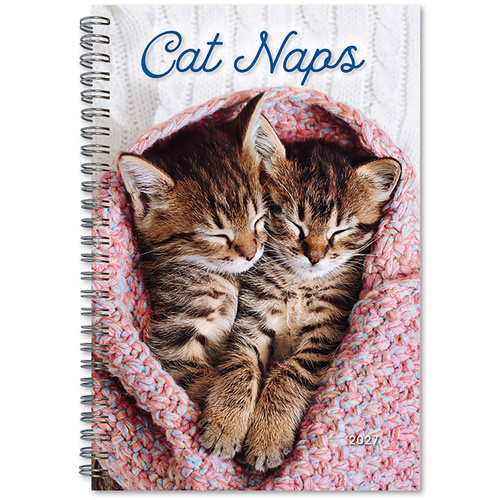 2027 Planner Cat Naps Desk Week to View, Sellers S61985