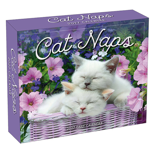 2027 Calendar Cat Naps Day-to-Day Boxed, Sellers S62159