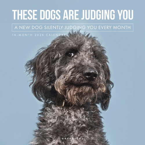 2026 Calendar Judging Dogs 16-Month Square Wall, Graphique de France GF44513