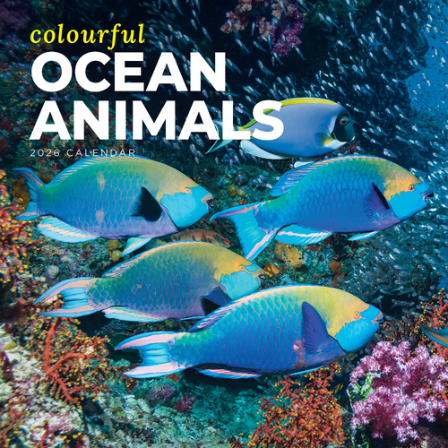 2026 Calendar Colourful Ocean Animals Square Wall Paper Pocket CAB41