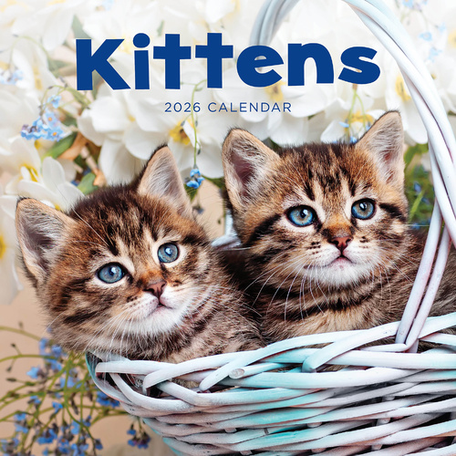 2026 Calendar Kittens Square Wall Paper Pocket CAB22