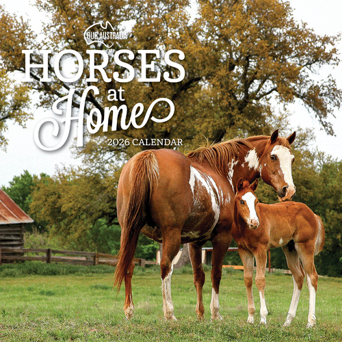 2026 Calendar Our Australia Horses At Home Square Wall Paper Pocket COB12