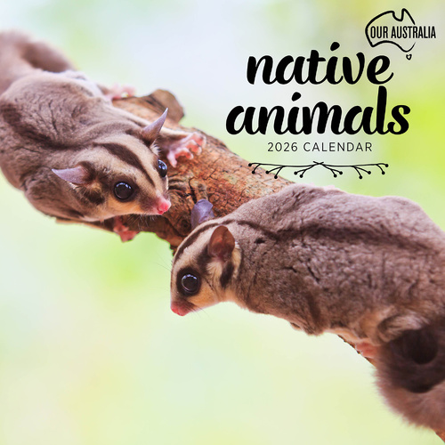 2026 Calendar Our Australia Native Animals Square Wall Paper Pocket COB18