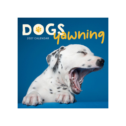 2027 Calendar Dogs Yawning Square Wall, Paper Pocket CAB63