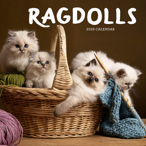 2026 Calendar Ragdolls Square Wall Paper Pocket CAB28