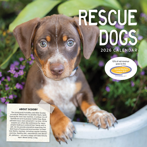2026 Calendar Rescue Dogs Square Wall Paper Pocket CAB05