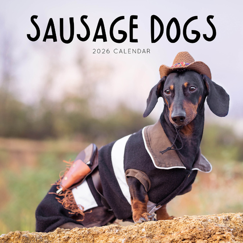 2026 Calendar Sausage Dogs Square Wall Paper Pocket CAB29