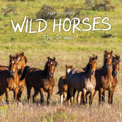 2026 Calendar Wild Horses The Brumby Square Wall Paper Pocket COB33