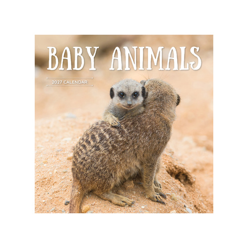 2027 Calendar Baby Animals Square Wall, Paper Pocket CAB3
