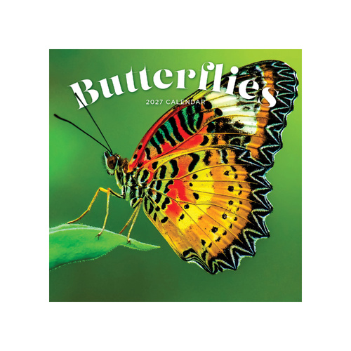 2027 Calendar Butterflies Square Wall, Paper Pocket CAB8