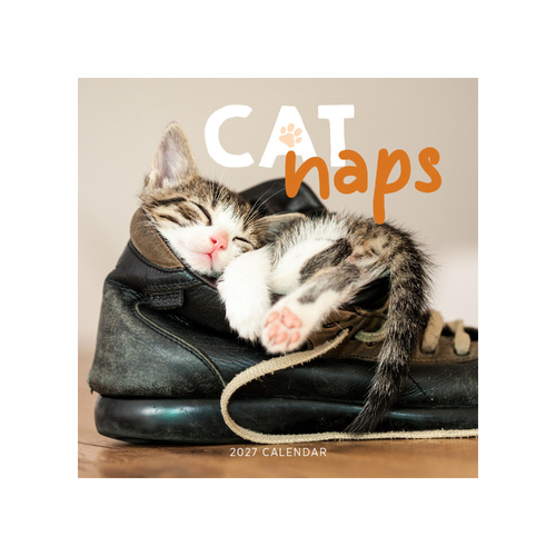 2027 Calendar Cat Naps Square Wall, Paper Pocket CAB03