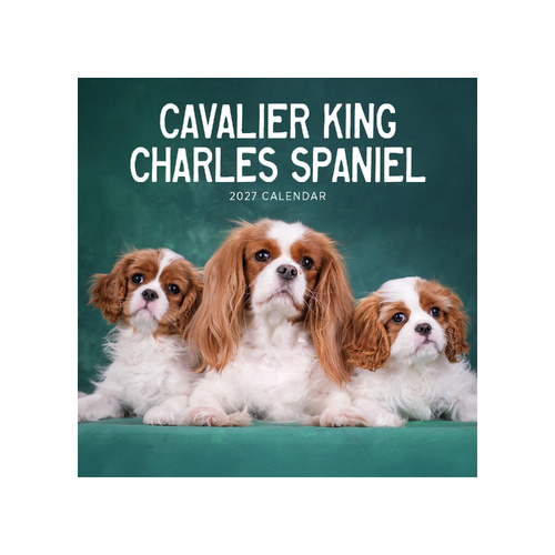 2027 Calendar Cavalier King Charles Spaniels Square Wall, Paper Pocket CAB11