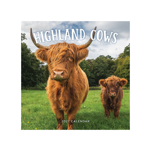 2027 Calendar Highland Cows Square Wall, Paper Pocket CAB21