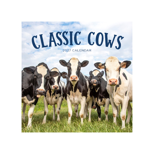 2027 Calendar Classic Cows Square Wall, Paper Pocket CAB68