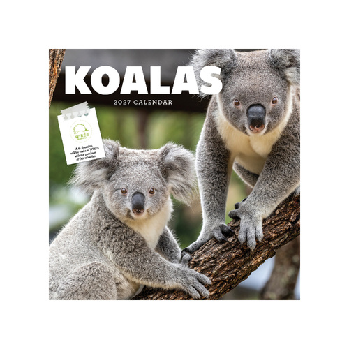 2027 Calendar Koalas Square Wall, Paper Pocket CAB23