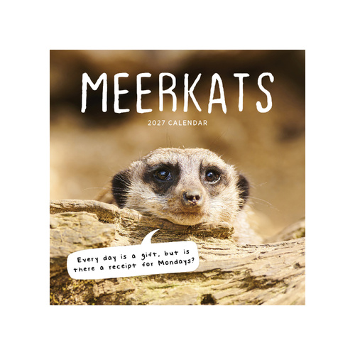 2027 Calendar Meerkats Square Wall, Paper Pocket CAB24