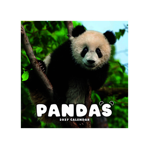 2027 Calendar Pandas Square Wall, Paper Pocket CAB04