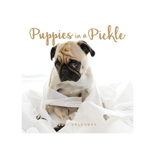 2027 Calendar Puppies In A Pickle Square Wall, Paper Pocket CAB27