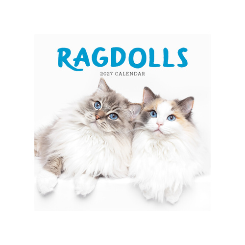 2027 Calendar Ragdolls Square Wall, Paper Pocket CAB28