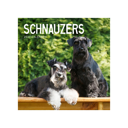 2027 Calendar Schnauzers Square Wall, Paper Pocket CAB06