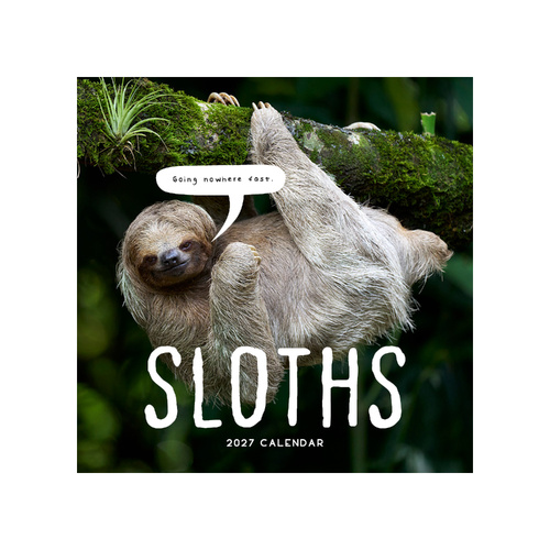 2027 Calendar Sloths Square Wall, Paper Pocket CAB30
