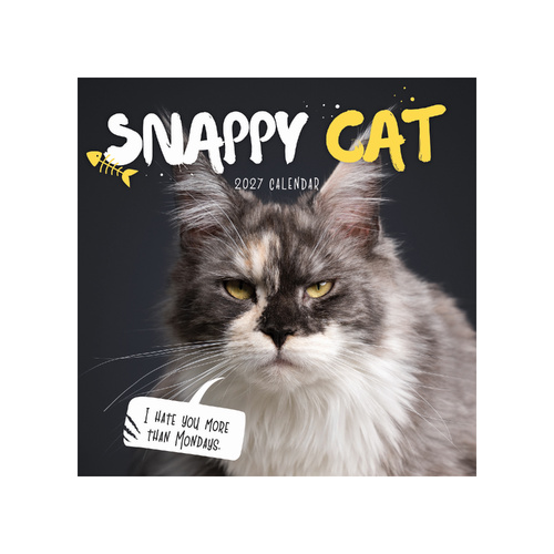 2027 Calendar Snappy Cat Square Wall, Paper Pocket CAB31