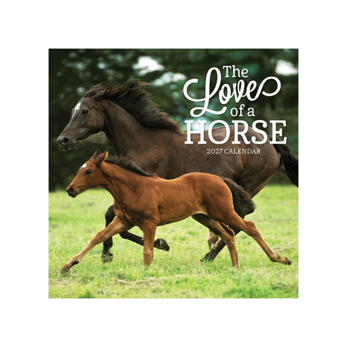 2027 Calendar The Love Of A Horse Square Wall, Paper Pocket CAB50