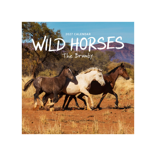 2027 Calendar Wild Horses: The Brumby Square Wall, Paper Pocket COB33