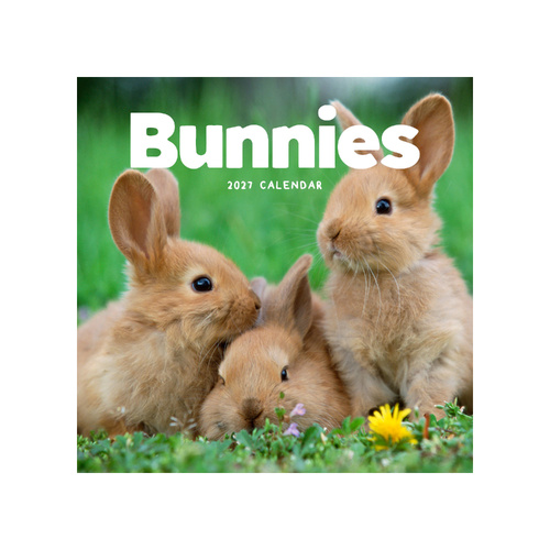 2027 Calendar Bunnies Square Wall, Paper Pocket CAB62