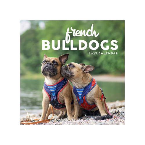 2027 Calendar French Bulldogs Square Wall, Paper Pocket CAB52