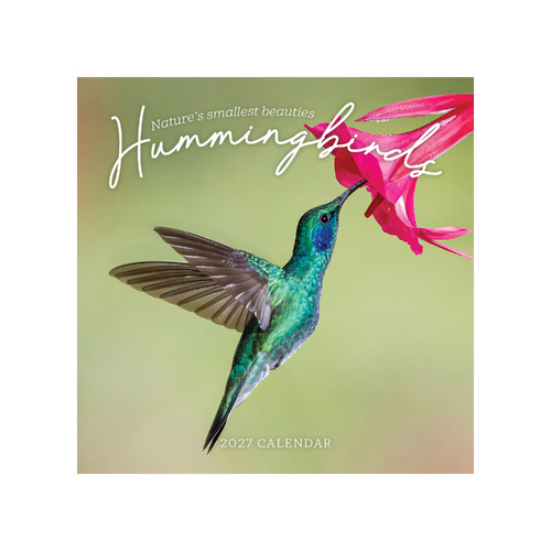 2027 Calendar Hummingbirds Square Wall, Paper Pocket CAB64