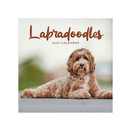 2027 Calendar Labradoodles Square Wall, Paper Pocket CAB66