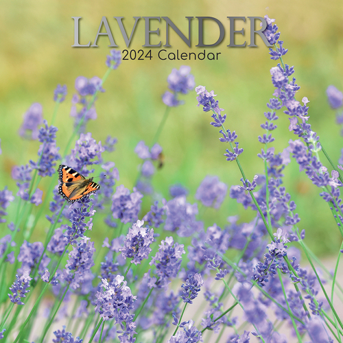 2024 Calendar Lavender Square Wall by The Gifted Stationery GSC23654