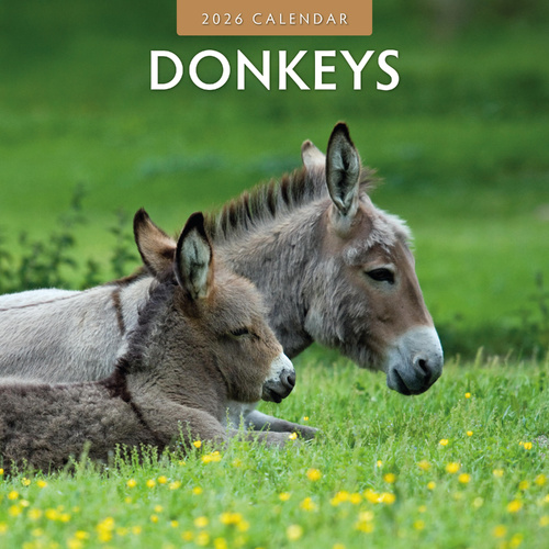 2026 Calendar Donkeys 16-Month Square Wall, Red Robin RR261026