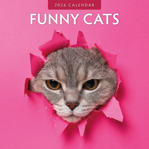 2026 Calendar Funny Cats 16-Month Square Wall, Red Robin RR261031