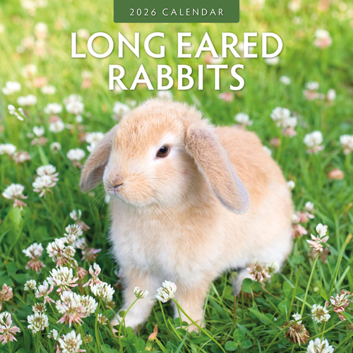 2026 Calendar Long Eared Rabbits 16-Month Square Wall, Red Robin RR261039