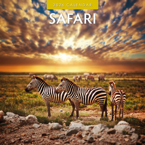 2026 Calendar Safari 16-Month Square Wall, Red Robin RR261052