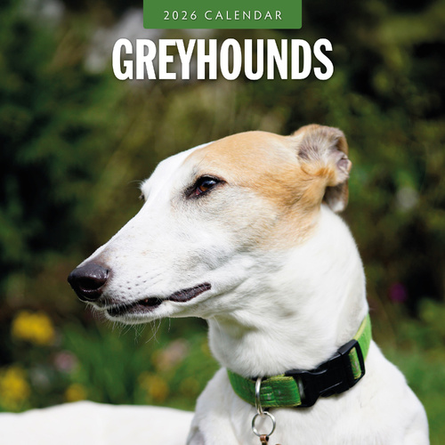 2026 Calendar Greyhounds 16-Month Square Wall, Red Robin RR261120