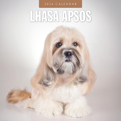 2026 Calendar Lhasa Apsos 16-Month Square Wall, Red Robin RR261129