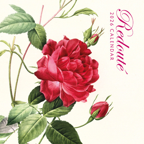 2026 Calendar Redoute 16-Month Square Wall, Red Robin RR261217