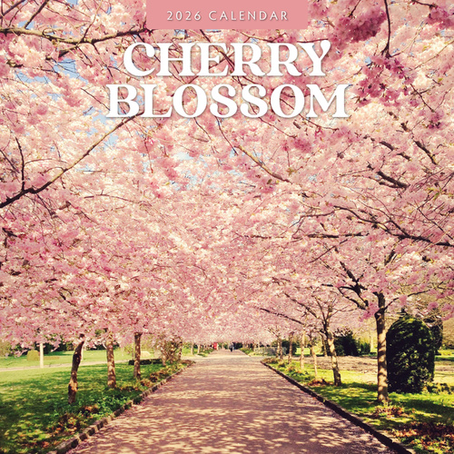 2026 Calendar Cherry Blossom 16-Month Square Wall, Red Robin RR261229